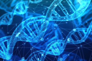 epigenetica e dna