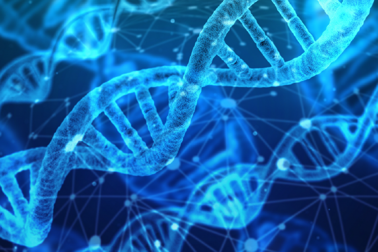 epigenetica e dna