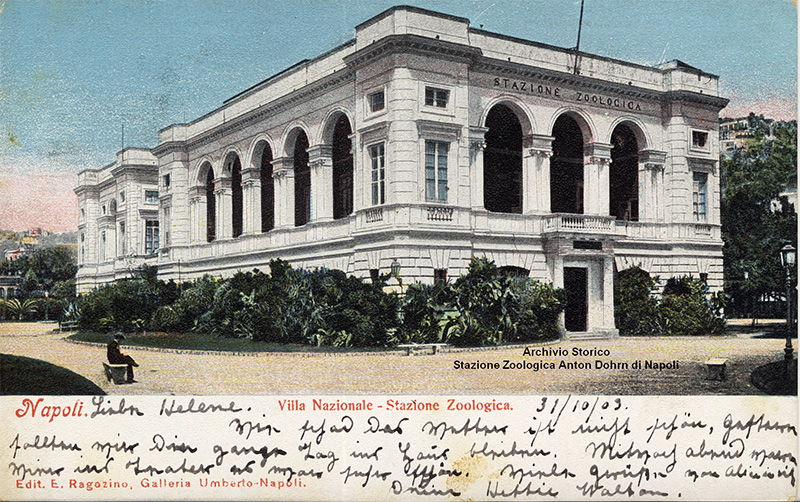 acquario antico