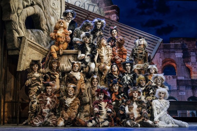 cats