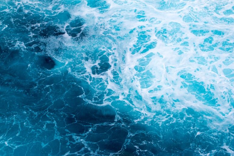 ocean literacy