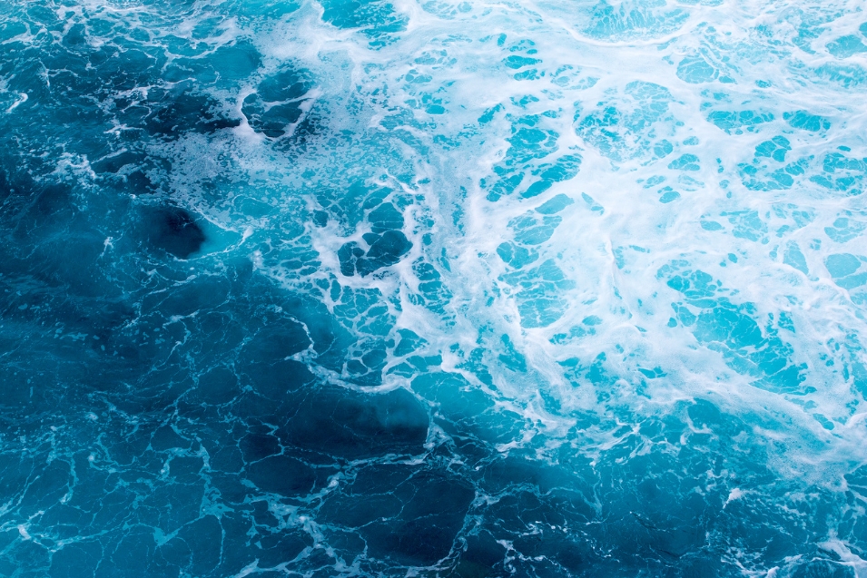 ocean literacy