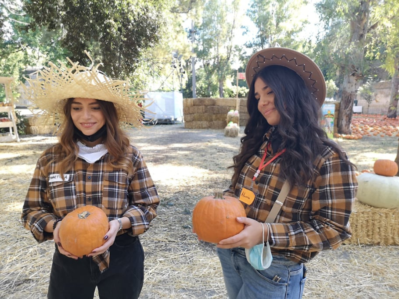 giochi di zucca